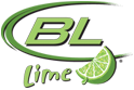 Bud Light Lime